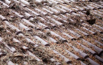 South Creake roof cleaning companies